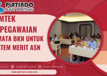 Bimtek SIMATA BKN untuk Sistem Merit ASN